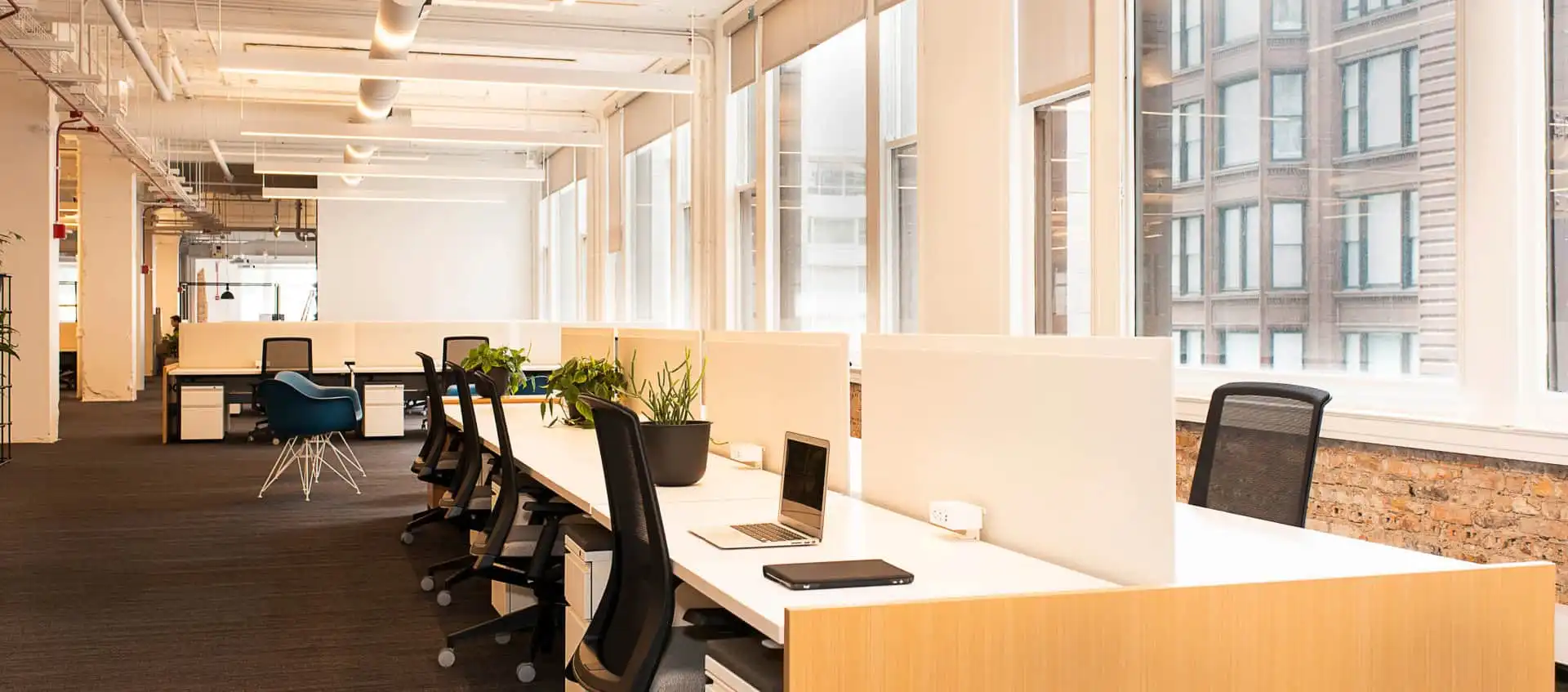 office with computers and chairs in bright warm setting